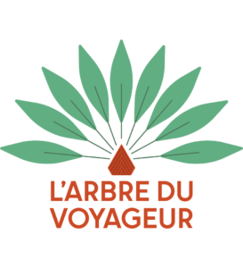 logo arbre du voyageur