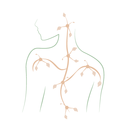 illustration drainage lymphatique